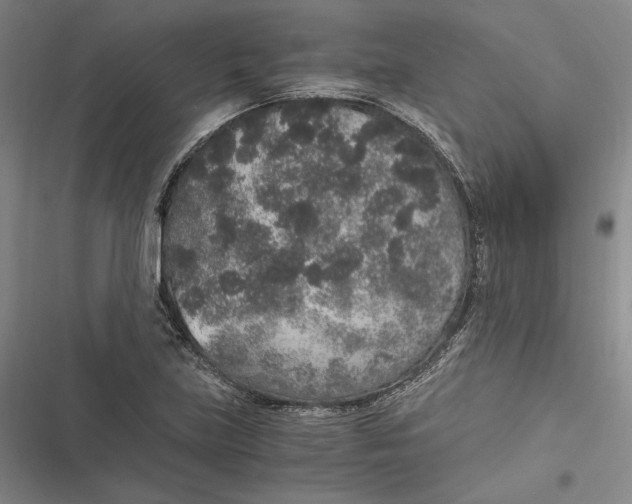 X0000116861219201001121234