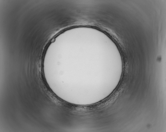 X0000116861220201001121234