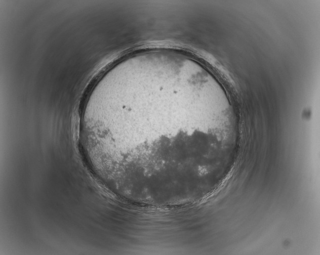 X0000116861221201001121234