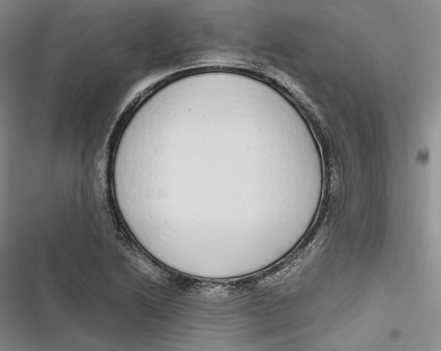 X0000116861222201001121234