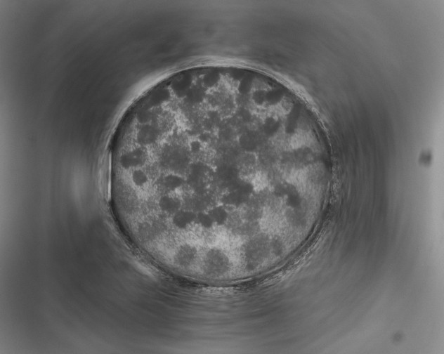 X0000116861223201001121234