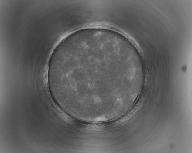 X0000116861224201001121234