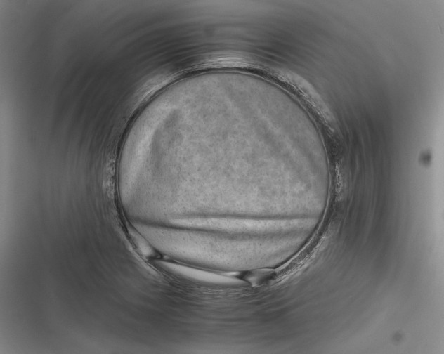 X0000116861225201001121234