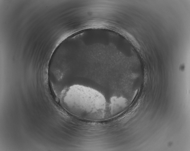 X0000116861226201001121234