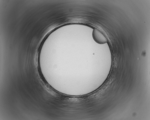 X0000116861227201001121234