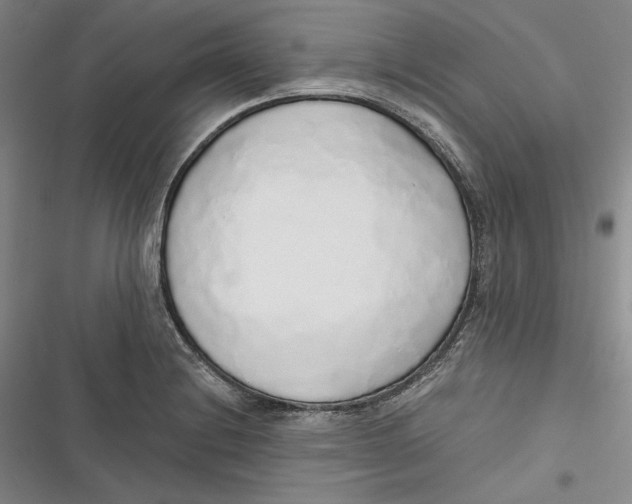 X0000116861228201001121234