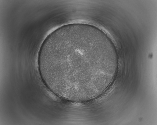 X0000116861230201001121234