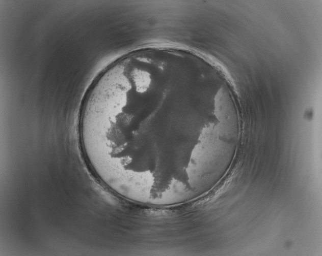 X0000116861231201001121234