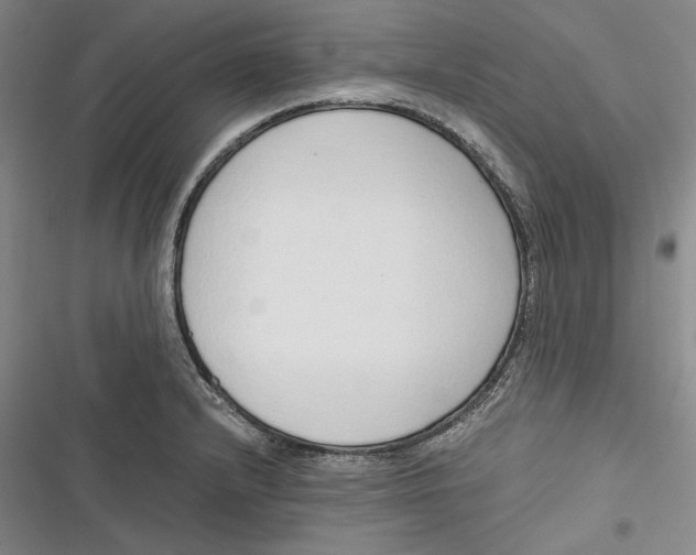 X0000116861232201001121234