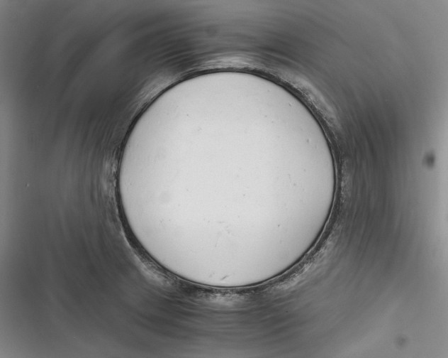 X0000116861233201001121234