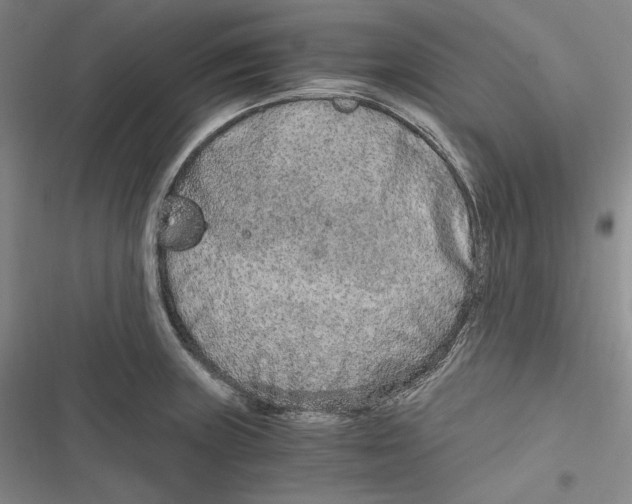 X0000116861235201001121234