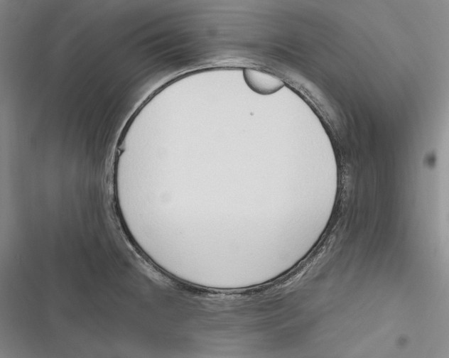 X0000116861236201001121234