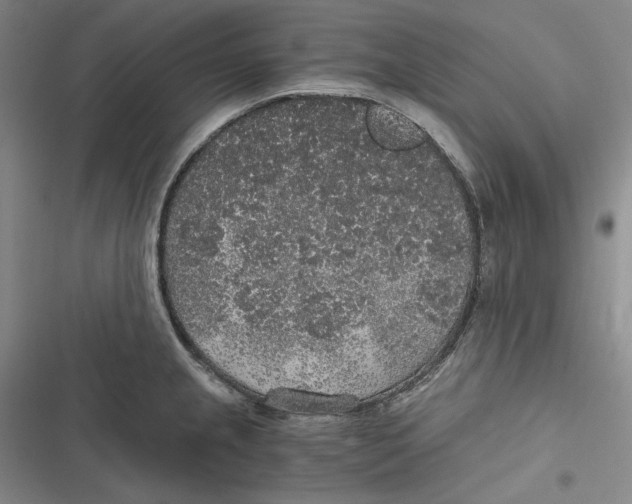 X0000116861237201001121234