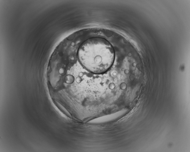 X0000116861239201001121234