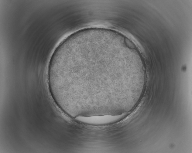 X0000116861240201001121234