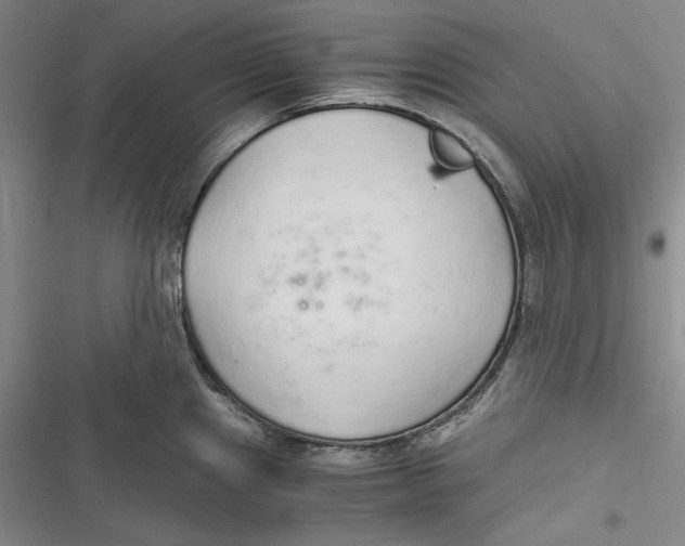 X0000116861241201001121234