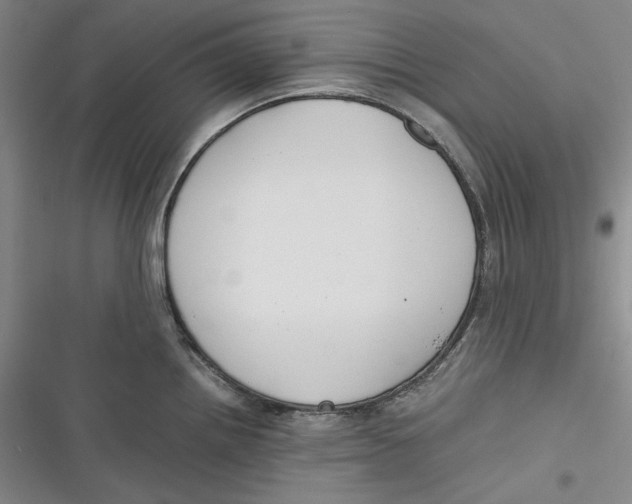 X0000116861242201001121234