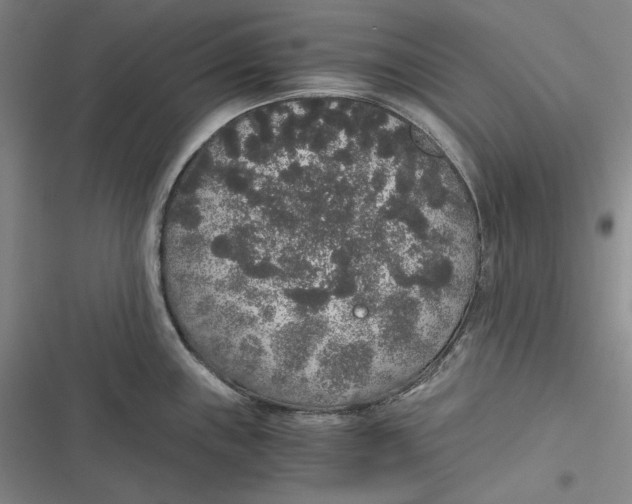 X0000116861243201001121234