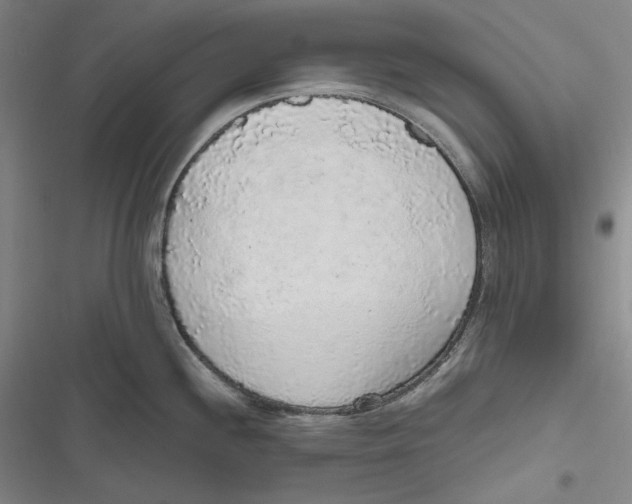 X0000116861244201001121234