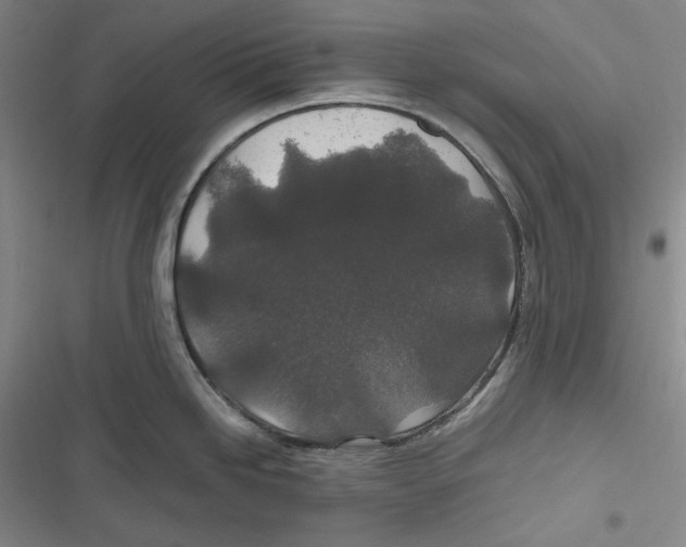 X0000116861246201001121234