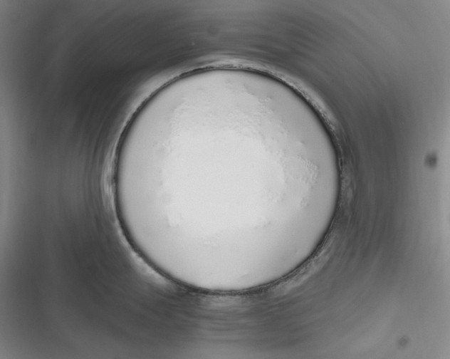 X0000116861247201001121234