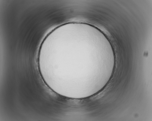 X0000116861248201001121234