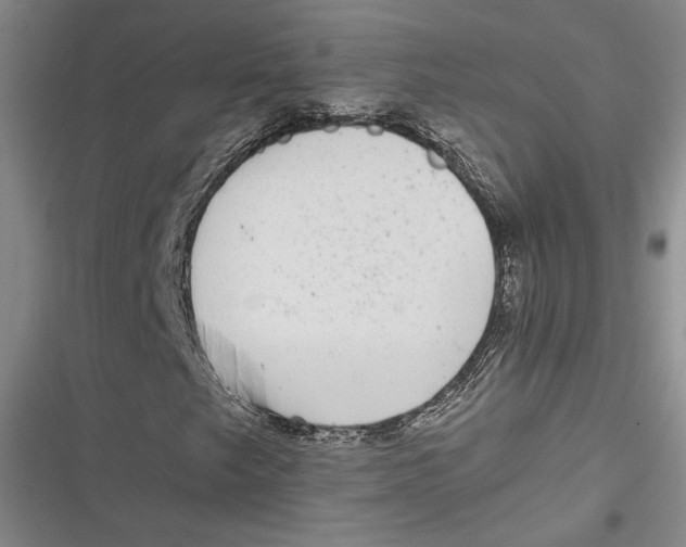 X0000116861249201001121233