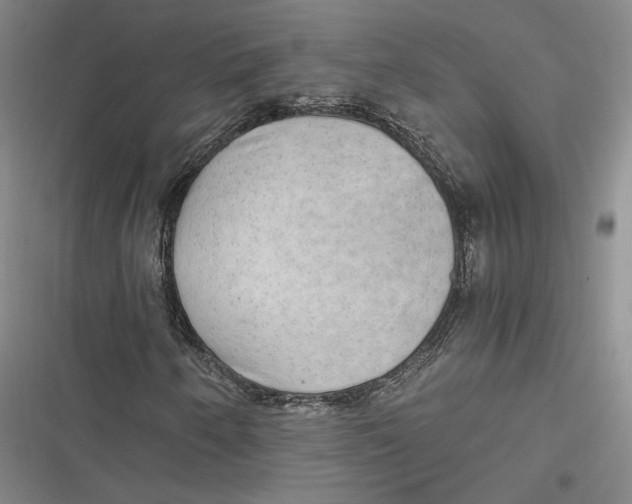 X0000116861250201001121233