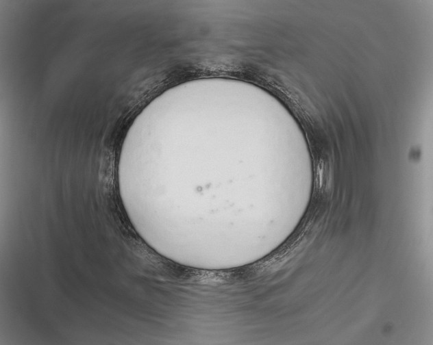 X0000116861251201001121233