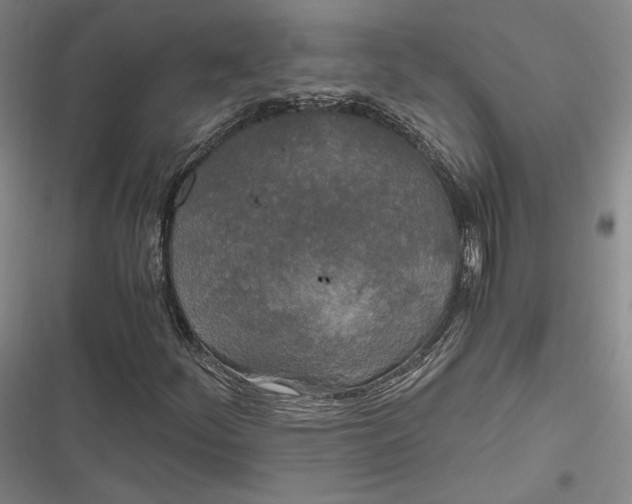 X0000116861252201001121233