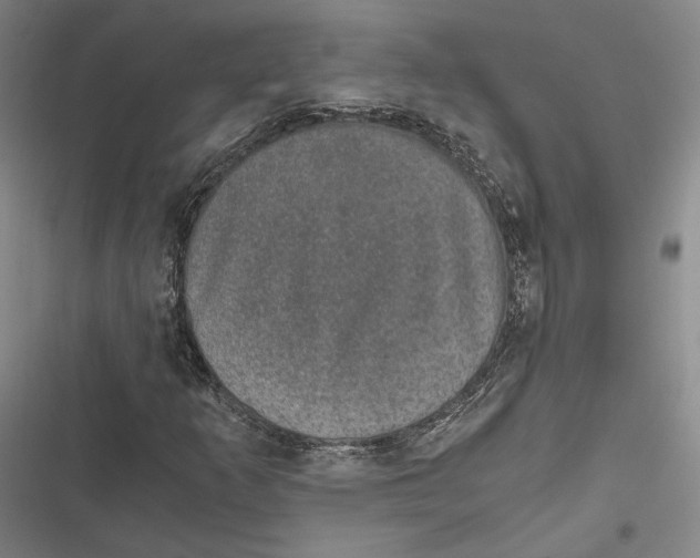 X0000116861253201001121233