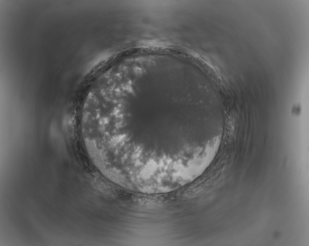 X0000116861254201001121233