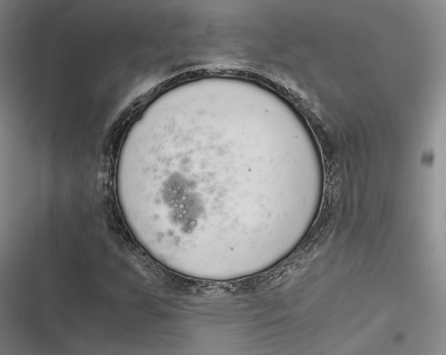 X0000116861255201001121233