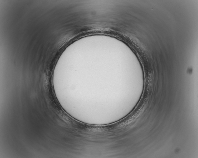 X0000116861257201001121233