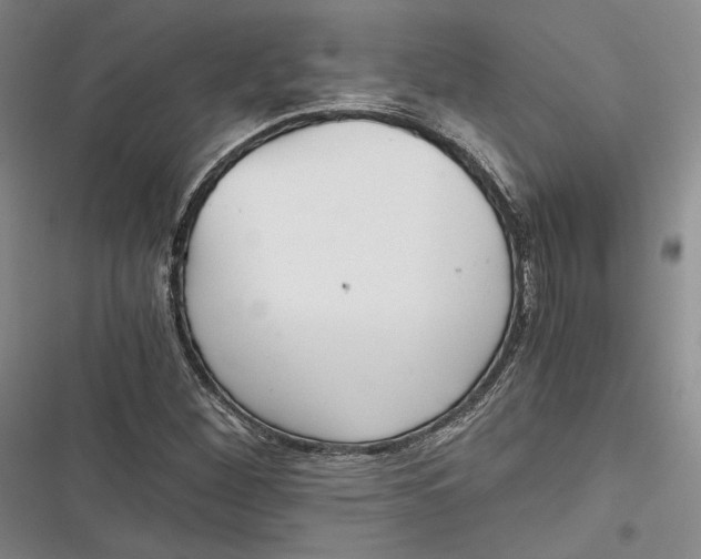 X0000116861260201001121233