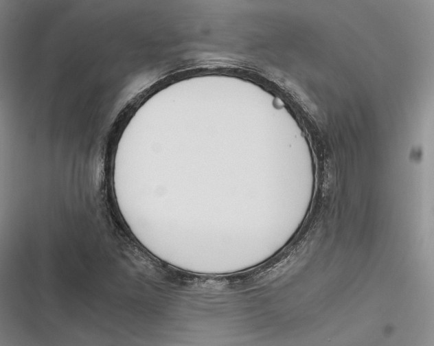 X0000116861261201001121233