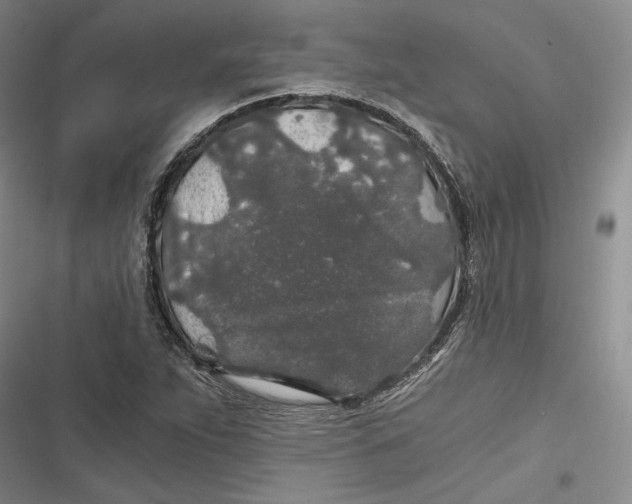 X0000116861263201001121233