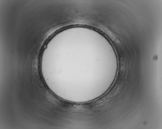 X0000116861264201001121233