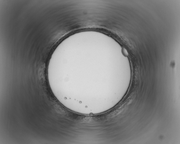 X0000116861265201001121233