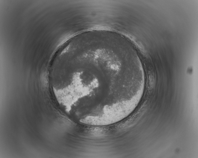 X0000116861266201001121233