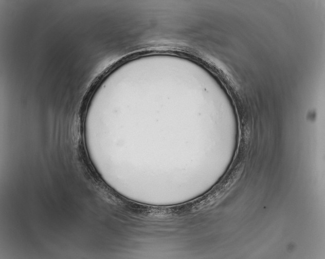 X0000116861267201001121233