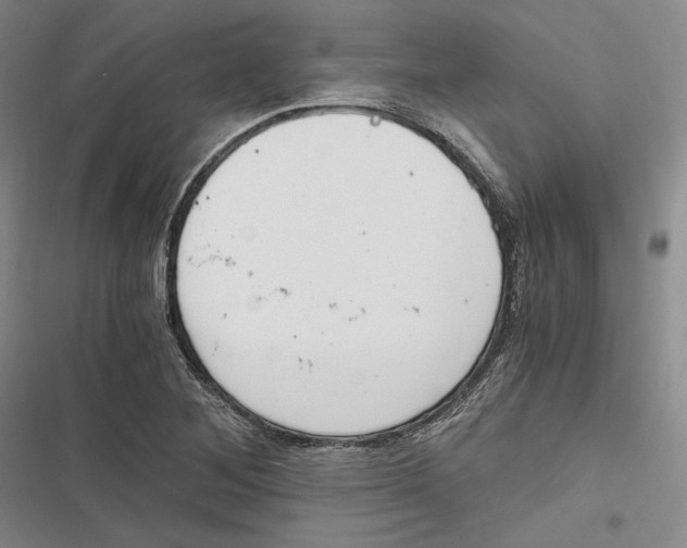 X0000116861268201001121233