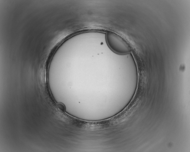 X0000116861269201001121233