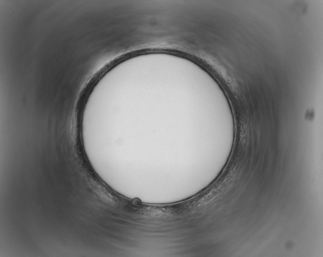 X0000116861270201001121233