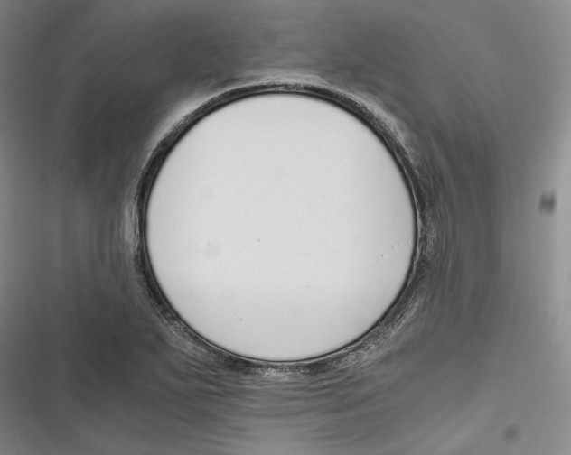 X0000116861271201001121233