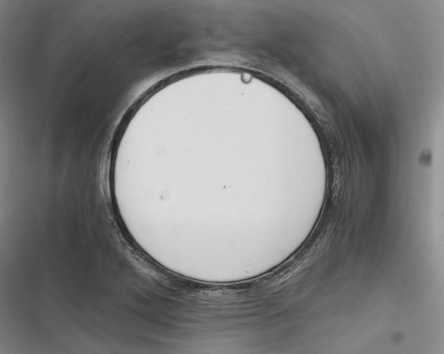 X0000116861272201001121233