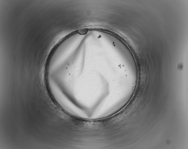 X0000116861277201001121233