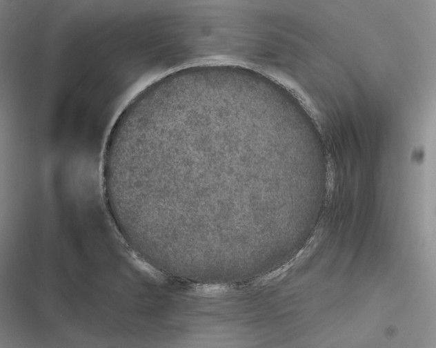 X0000116861278201001121233