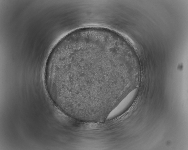 X0000116861279201001121233