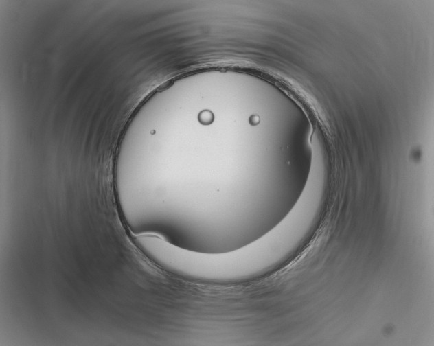 X0000116861281201001121233